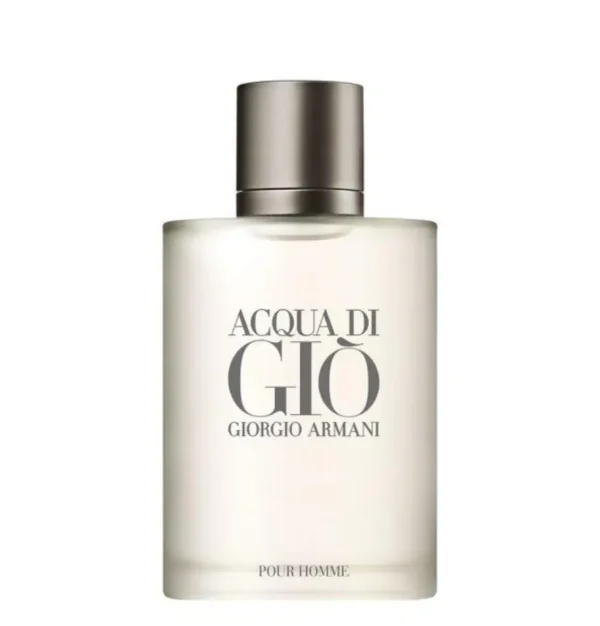 Armani Acqua di Gio Pour Homme EDP 100 ml